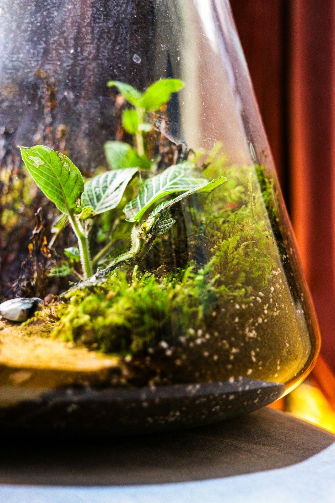 Workshop ecosysteem maken